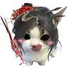 猫也不知道