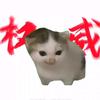 喵大力meme