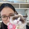 仙女布偶猫多少钱一只（养户直发）