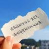 静心/精于母婴