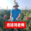 国光刘继清(世界植调百年国光)