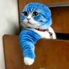 蓝猫（王者荣耀世界）