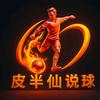 皮半仙说球