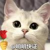 坚强的心线上公证咨询