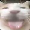 喵喵OqO