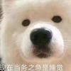 祝沉