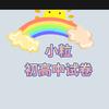 小粒初高中试卷