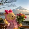 天津高考咨询