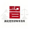 楚智｜李法务