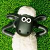 小羊天恩，咩咩咩🐏🐏🐏