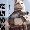兄弟寻宠（回关可找）