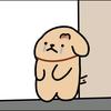 今晚吃什么？
