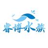 睿博水族养蝴蝶
