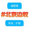 救助北京边牧