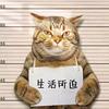 快乐拼搏