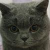 @♥福宝宝🐱成长