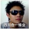 四川合一蜂业陈哥
