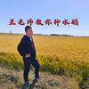 诺普信-王老师教你种水稻