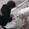 我们还有多少个明天