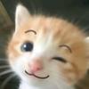 奈绪