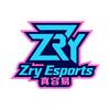 真容易电竞（1对1）私教课