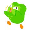 数码绿鸟🍀