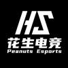 花生（王者荣耀国服工作室）