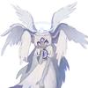迪希特