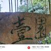 壹園主人