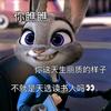 在蒙城的瑶瑶老师