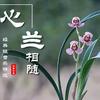 心兰相随（谢绝私聊）
