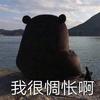 一骑红尘妃子笑
