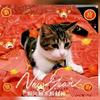 招财猫（西北刀客）