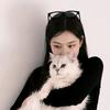 凝凝是只布偶猫（618省钱版）