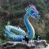 醉美飞翔