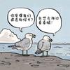 艾堃