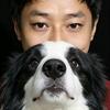 石头的狗