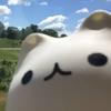 海棠花开时