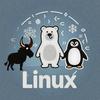 北极熊聊Linux