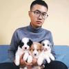 【买🐶斯】12年一手繁育边牧犬舍