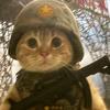 美猫兵