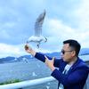 雁阵惊寒