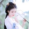 紫岸推文