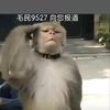 二十七步天注定