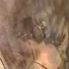 美术馆读哲学的糖糖