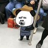 同款壁纸，ai特效入口