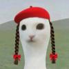 戴红帽子的保龄球