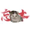 me因斯坦