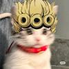 小妄wwq