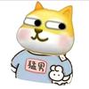 慢 热ºᵏᵃʸ.